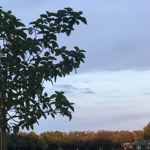 Meet your Posher, Daniela